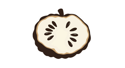 Cross Section Of A Fruit Slice