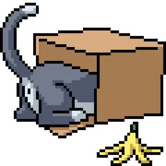 Fototapeta premium pixel art of stray cat hide in box