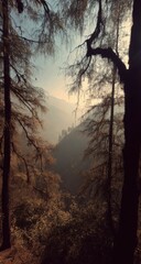Naklejka premium Misty Mountain Range Through Pine Trees in Golden Light, Illustrating Natural Beauty and Environmental Conservation : Generative AI