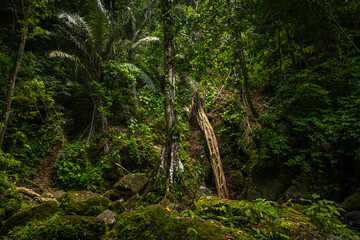 Pria Loat trekking @ Pulau Weh, Indonesia
