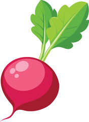 Radish