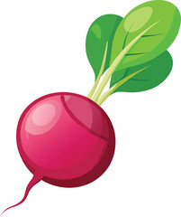 Radish
