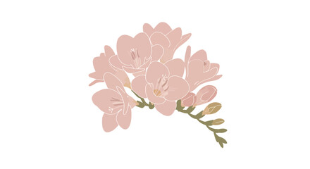Pastel Pink Flowers Illustration