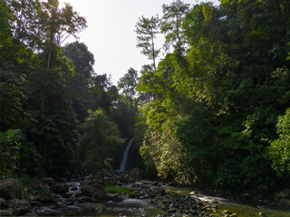 Natural Beauty of Tropical Green Forests with Mountains and Waterfalls in Indonesia