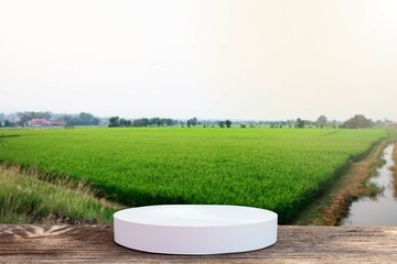 Area for advertising products related to rice cultivation and agriculture.