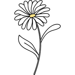 Obraz premium Simple daisy line drawing, monochrome, for design projects
