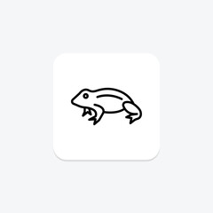 African Dwarf Frog, vector, pixel perfect, illustrator file