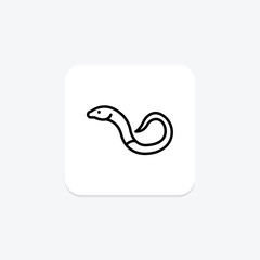 Legless Lizard, vector, pixel perfect, illustrator file