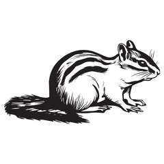 Chipmunk silhouette vector illustration
