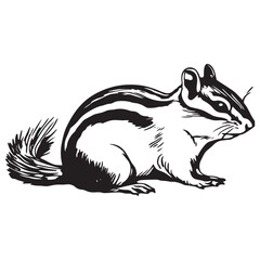Chipmunk silhouette vector illustration