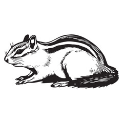 Chipmunk silhouette vector illustration