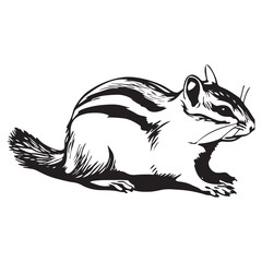 Chipmunk silhouette vector illustration
