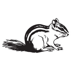 Chipmunk silhouette vector illustration