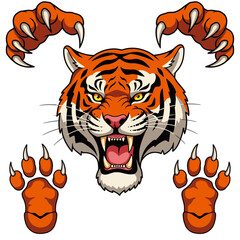 Vector illustration of a roaring tiger head with sharp fangs, alongside front and bottom views of tiger paws with claws.