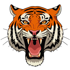Roaring Tiger Head Vector, Wild Animal Mascot Design