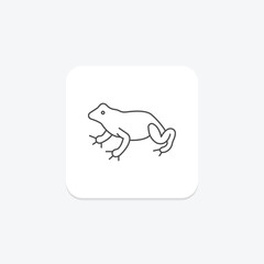 Fire Bellied Toad, vector, pixel perfect, illustrator file