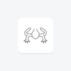 Clawed Frog, vector, pixel perfect, illustrator file
