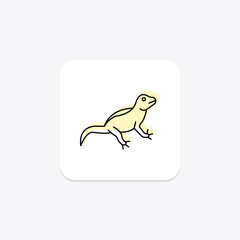 Fototapeta premium Agama, vector, pixel perfect, illustrator file