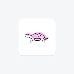 Musk Turtle, vector, pixel perfect, illustrator file
