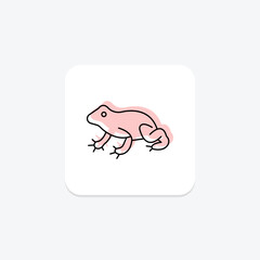 Surinam Toad, vector, pixel perfect, illustrator file