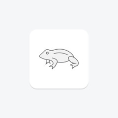 African Dwarf Frog, vector, pixel perfect, illustrator file