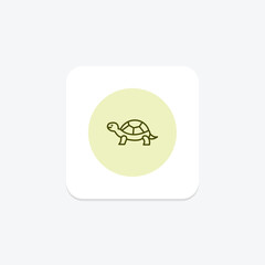 Fototapeta premium Wood Turtle, vector, pixel perfect, illustrator file