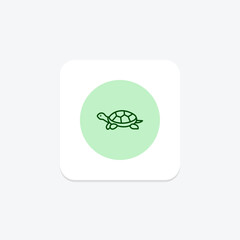 Diamondback Terrapin, vector, pixel perfect, illustrator file