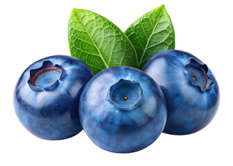 Obraz premium blueberries on white background