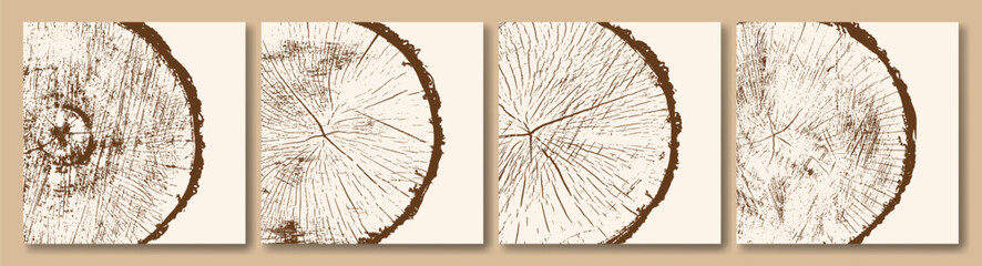 Obraz premium Tree trunk rings. Growth layers, wood texture. Vector image.