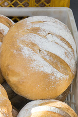 Traditional loaves of wheat or rye bread in bakery