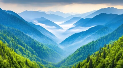 Obraz premium A breathtaking view of a misty valley surrounded by lush green mountains offers serene natural beauty, ideal for travel brochures, meditation apps, or nature-themed projects,