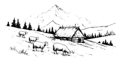mountain village landscape with sheep in monochrome outline drawing