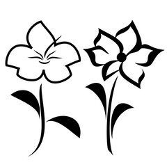 black and white flowers outline
