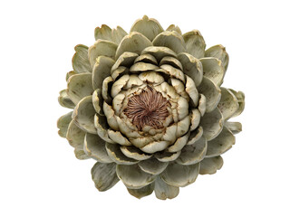 Obraz premium Hyperrealistic artichoke image
