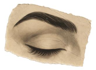 Detailed pencil drawing of a closed eye with defined eyelashes and eyebrow on a piece of torn paper on transparent background.