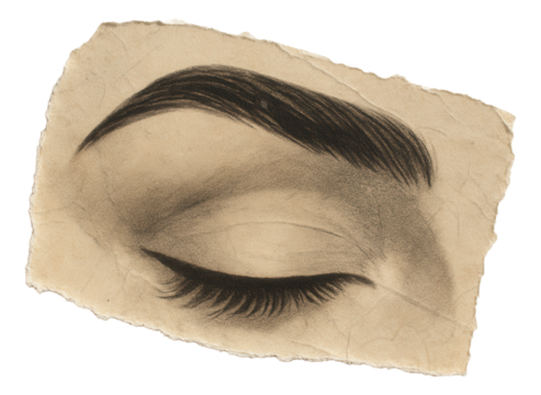 Detailed pencil drawing of a closed eye with defined eyelashes and eyebrow on a piece of torn paper on transparent background.