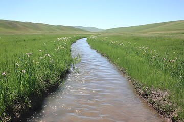 Fototapeta premium Serene stream flowing through lush green meadow under a clear blue sky Wildflowers line the banks Peaceful nature scene