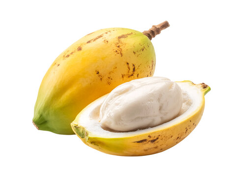 A whole marang fruit opened isolated on white background tropical appearance soft edible pulp