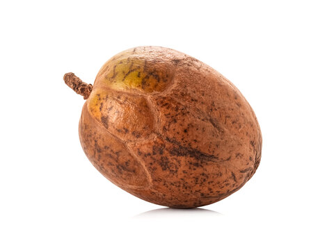 A whole kepel fruit isolated on white background brownish outer skin rare tropical look