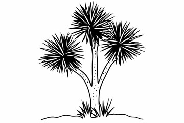 Obraz premium silhouette of a palm tree