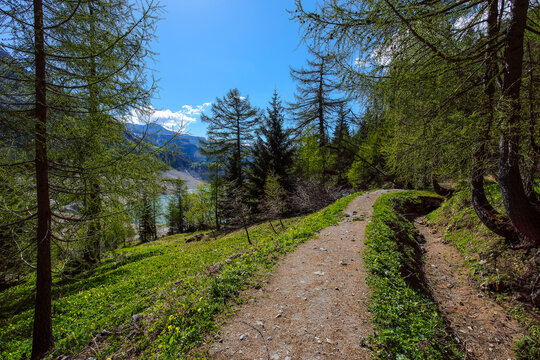 Le bisse de Sion vide, avant sa mise en fonction.