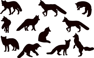 set of foxes in different angles silhouette on white background, vector