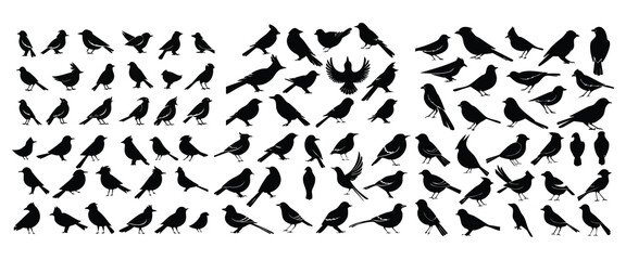 Bird silhouette set collection stock illustration