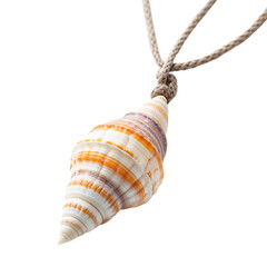 Trendy Minimalist Shell Necklace with One Naturally Isolated on Transparent Background