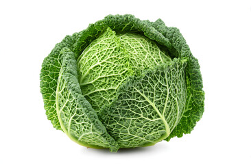 Fototapeta premium Nutritious Savoy Cabbage Isolated