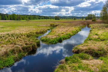Dolina rzeki Ploski - Puszcza Knyszyńska, Podlasie, Polska