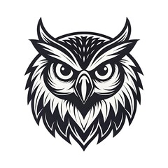 Obraz premium black and white owls head logo design