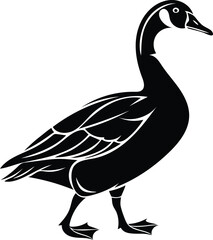 Duck vector illustration silhouette image