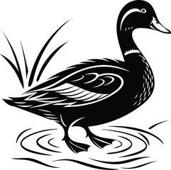 Duck vector illustration silhouette image