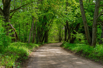 Dolina rzeki Ploski - Puszcza Knyszyńska, Podlasie, Polska